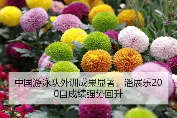 中国游泳队外训成果显著，潘展乐200自成绩强势回升