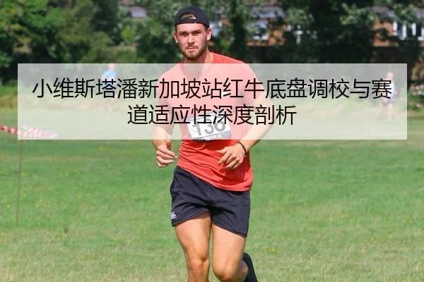 小维斯塔潘新加坡站红牛底盘调校与赛道适应性深度剖析