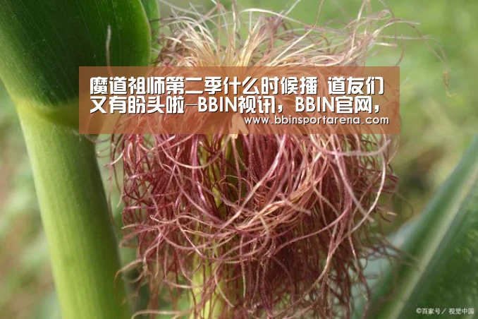 BBIN视讯，BBIN官网，BBIN捕鱼，BBIN棋牌
